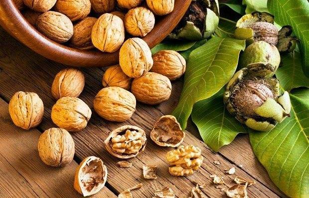 Кедровые орехи: польза и вред