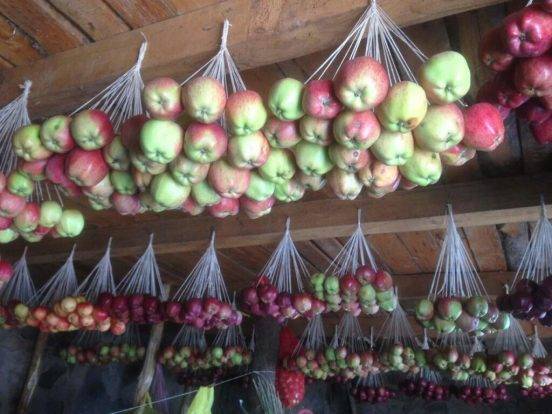 Как сохранить яблоки на зиму свежими в домашних условиях: видео, отзывы