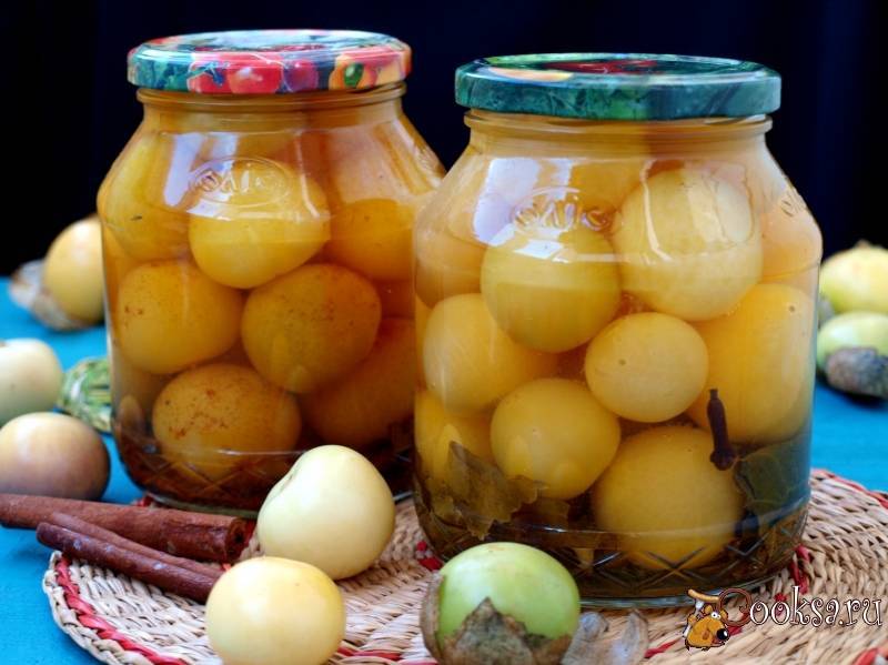 Рецепты заготовок из физалиса на зиму