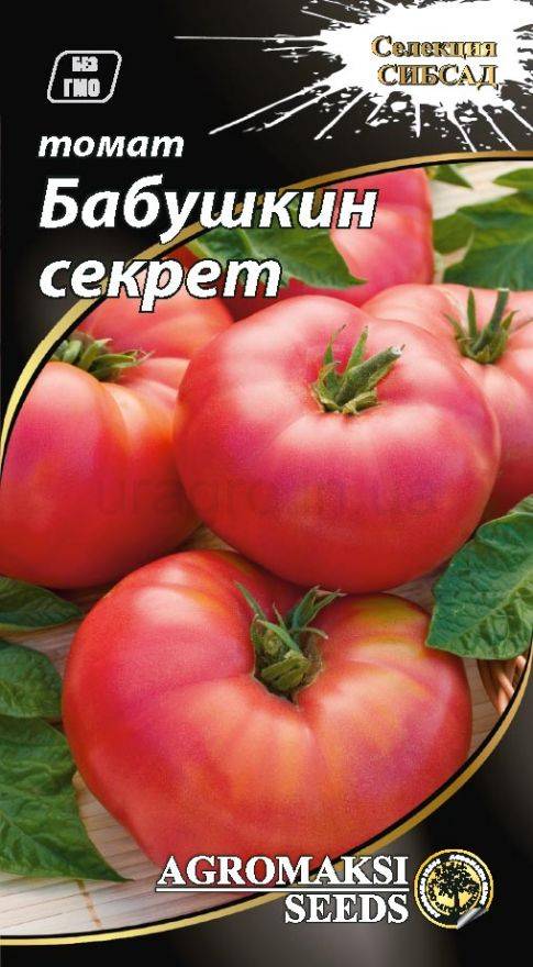 Общая характеристика сорта томатов «бабушкин секрет»