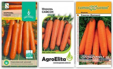 Морковь нандрин f1 — описание сорта, фото, отзывы, посадка и уход