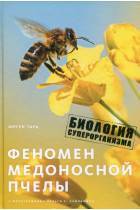 Состав пчелиной семьи | практическое пчеловодство