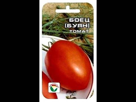Буян — томат любимый, хоть и боком не румян