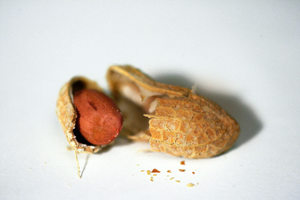 Вред и польза арахиса для организма человека, свойства жареного ореха