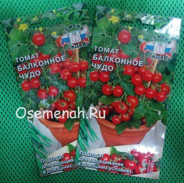 Описание сорта томата дачный любимец, его характеристика и урожайность