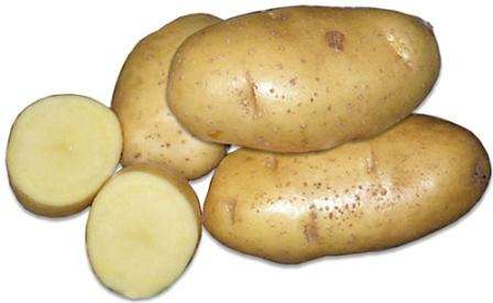 Картофель скарб: описание сорта, фото, отзывы
