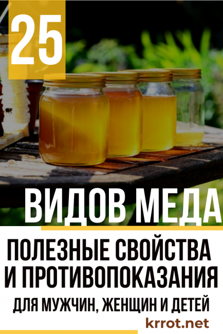 Мед с пергой: полезные свойства и противопоказания. как приготовить и употреблять - lechilka.com