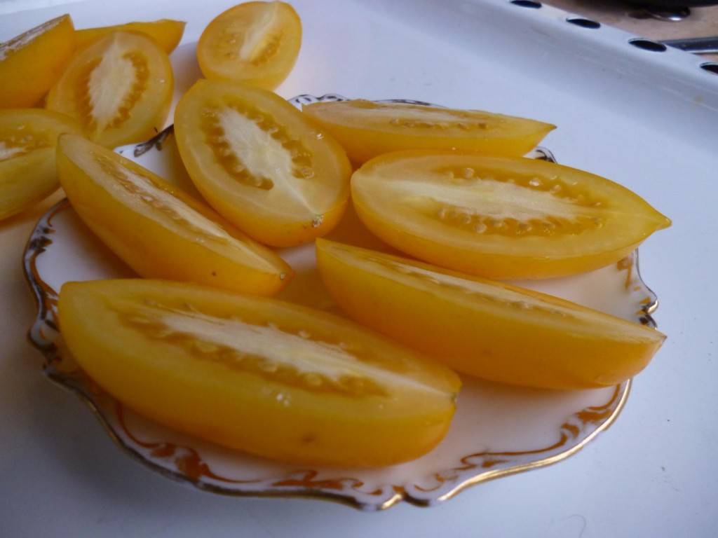 Гибрид включивший в себя все лучшее — томат златава f1: описание сорта и характеристики