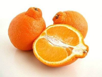 Апельсин скрещенный с гранатом — существует ли такой гибрид
