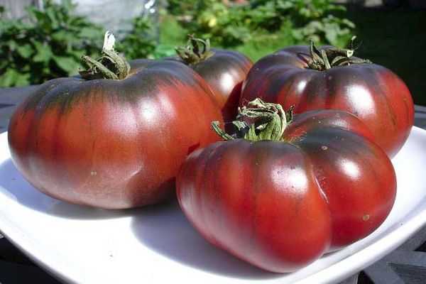 Томат "груша красная": описание сорта, фото, особенности выращивания отличного урожая помидор