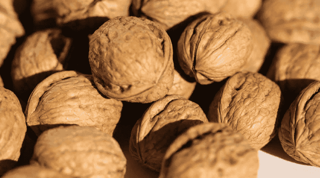 Всё о грецком орехе – состав, польза и суточная норма