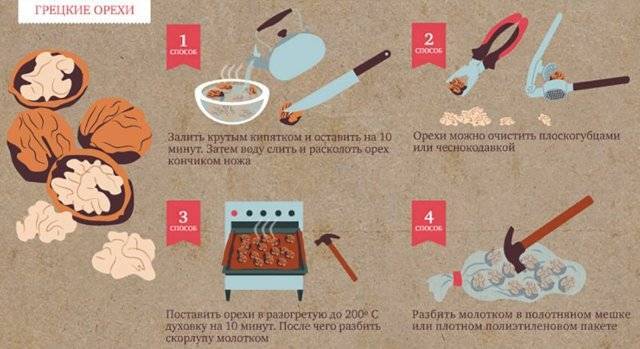 Как хранить грецкие орехи в домашних условиях