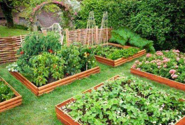 Мочевина или карбамид: состав и способы применения удобрения на огороде для овощей и ягод и плодовых деревьев