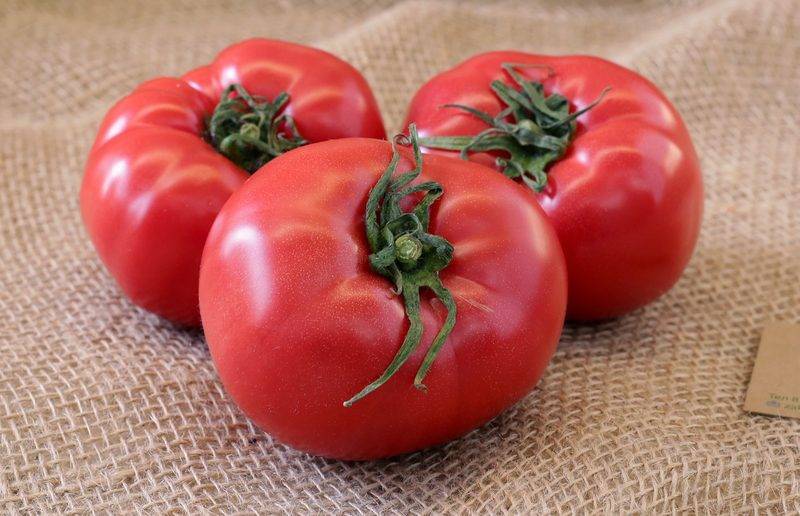 Среднеспелый универсальный томат «розовый царь» — описание сорта и характеристики