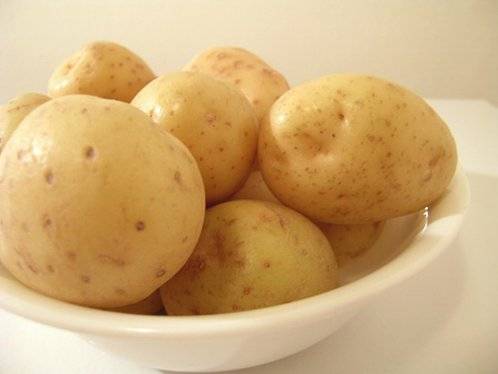 Сорт картофеля гала: характеристика