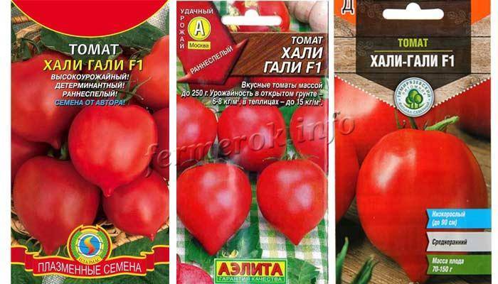 Как вырастить томат хали-гали