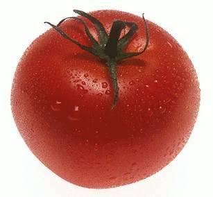 Описание сорта с фото и урожайность томатов «дар заволжья»