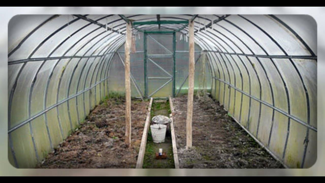 Чем обработать теплицу от фитофторы весной: 10 разумных способов обработки теплицы. | красивый дом и сад