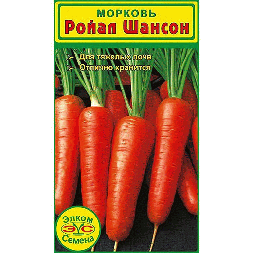 Морковь сорта «сластена»: описание и советы по выращиванию