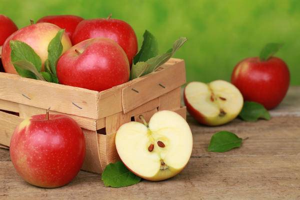 Как правильно хранить яблоки в погребе?