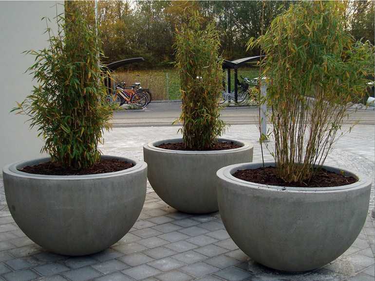 Вазон из бетона своими руками (57 фото): бетонные уличные конструкции для цветов, как сделать цветочницу для сада из цемента и тряпки