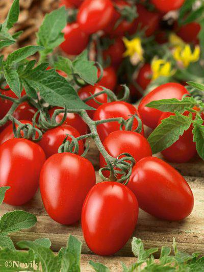 Самые странные и удивительные сорта томатов