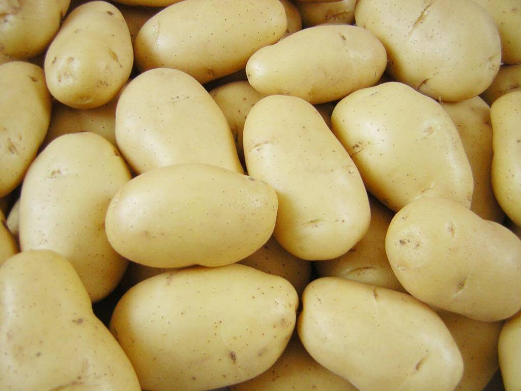 Сорт картофеля киви