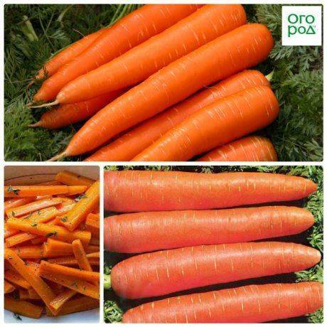 Морковь «детская сладость», «карамелька» и другие сорта овоща, которые считаются самыми сладкими: описание, применение, а также как сделать обычный вид вкуснее?