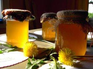 Польза и вред мёда из одуванчиков, противопоказания и рецепты красоты
