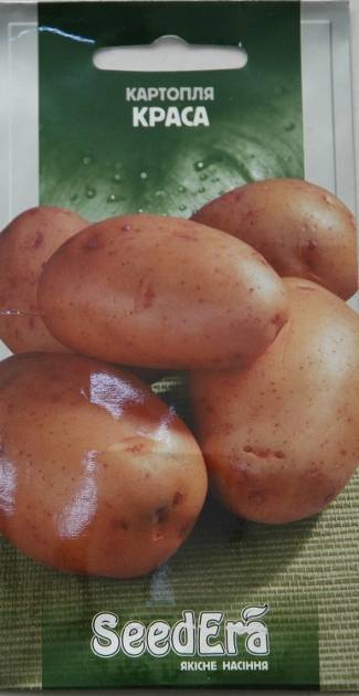 Стойкий картофель «маргарита», выведенный голландскими селекционерами — описание сорта, характеристика, фото