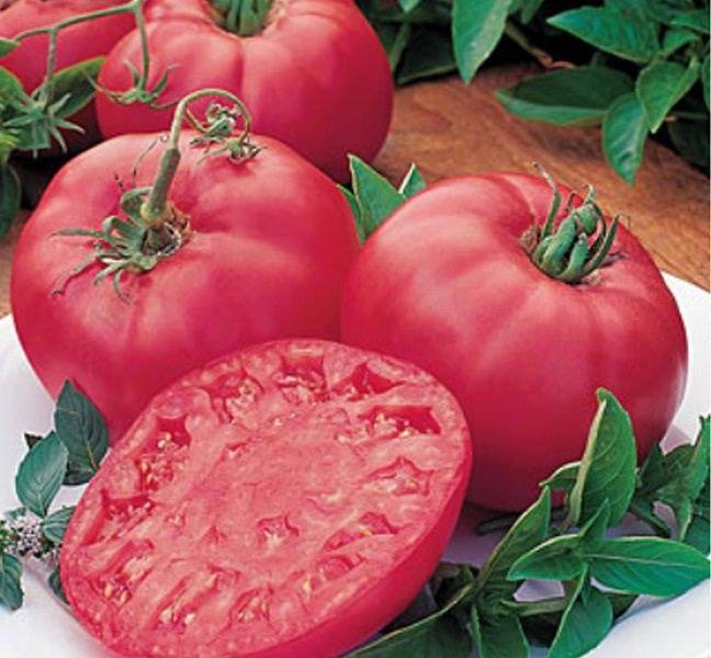 Очень экзотичный сорт томата – японский краб
