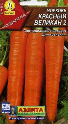 Морковь с «говорящим» названием роте ризен или красный великан. описание сорта, правила посадки, отзывы дачников