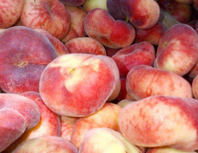 Описание инжирного персика: лучшие сорта, как его выращивать, как посадить