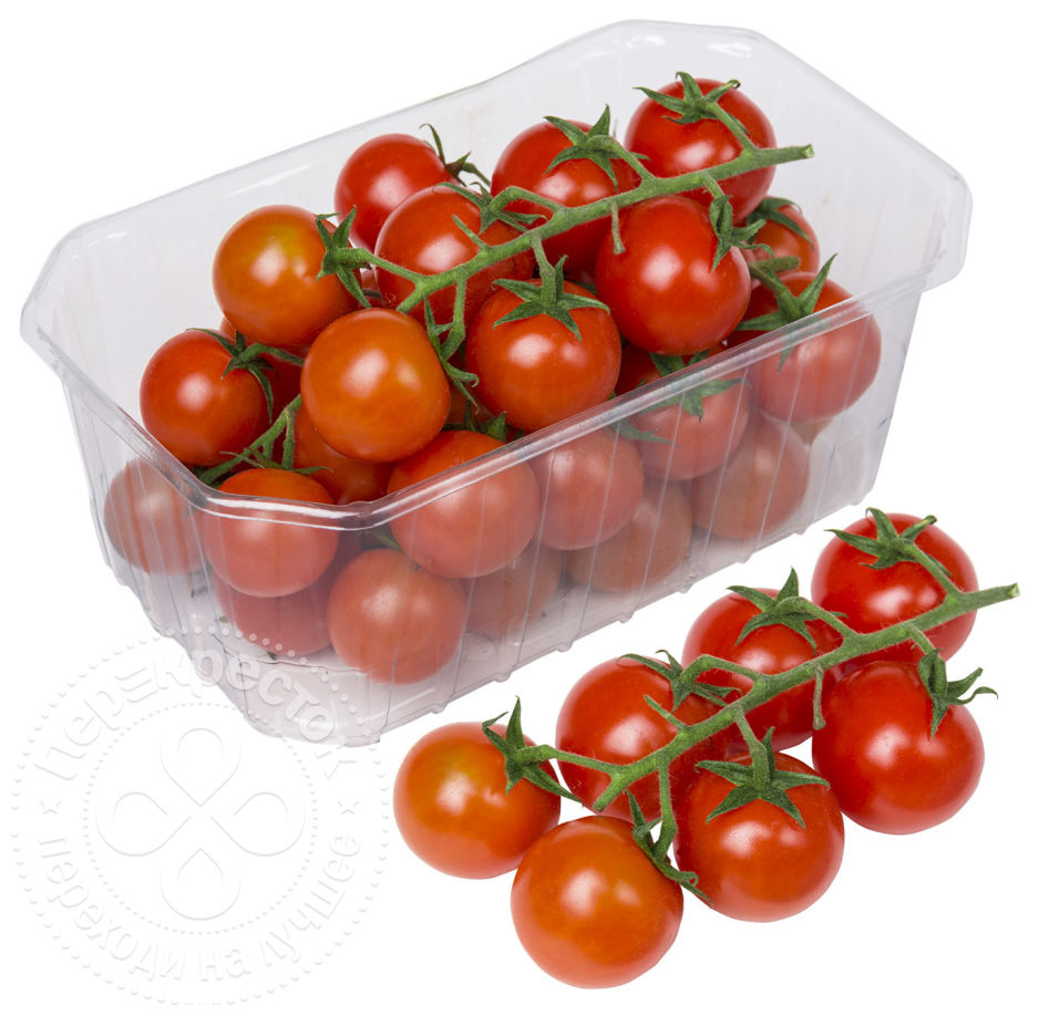 Хлыновский — томат с двумя главными преимуществами: отличным вкусом и хорошей урожайностью