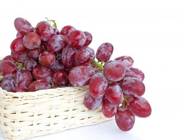 Сорт винограду «ризамат». опис та фото