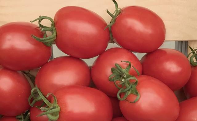 Характеристика томатов сорта полфаст f1