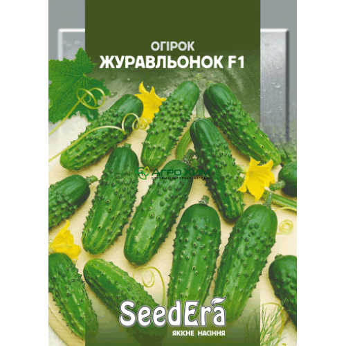 Высокоурожайный гибрид огурцов «журавленок f1»: фото, видео, описание, посадка, характеристика, урожайность, отзывы