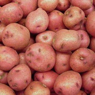 Способы окучивания картофеля