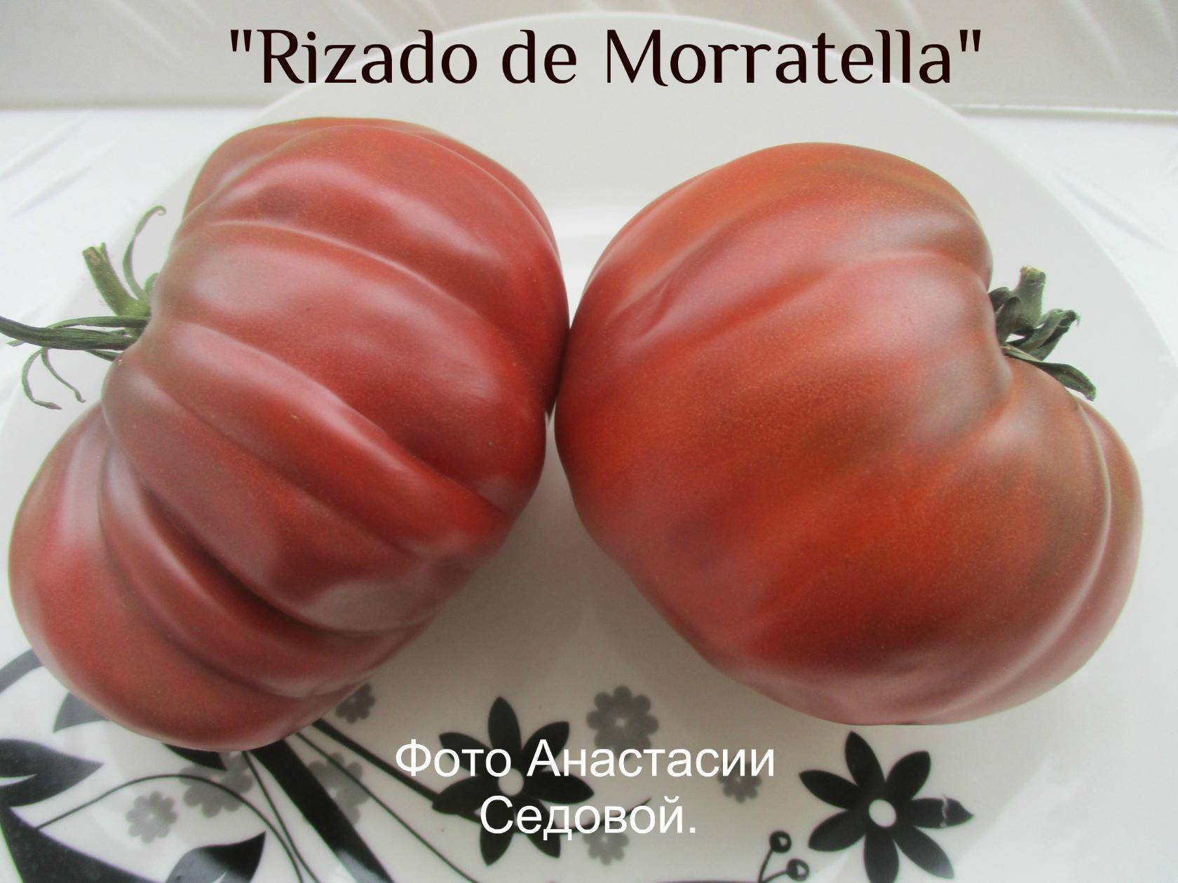Описание и характеристики сортов томатов инжир розовый, красный и желтый, урожайность и выращивание