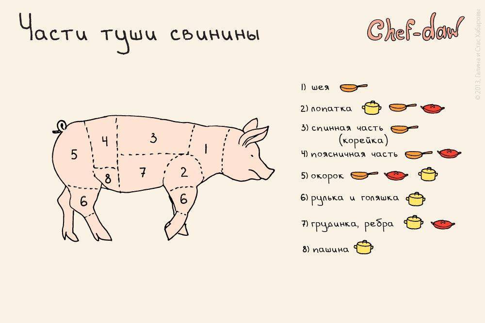 Разделка туши свиньи: правила, схемы, классическая технология, выход чистого мяса