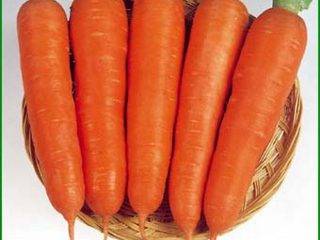 Морковь сорта московская зимняя — особенности выращивания и ухода