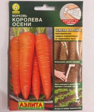 Морковь с поэтичным названием. описание и отзывы о сорте королева осени