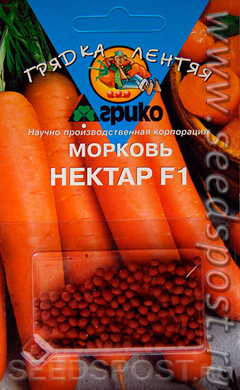 Морковь нииох 336: характеристика и особенности выращивания сорта