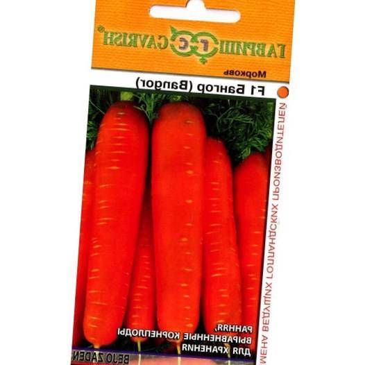 Морковь анастасия f1 — описание сорта, фото, отзывы, посадка и уход