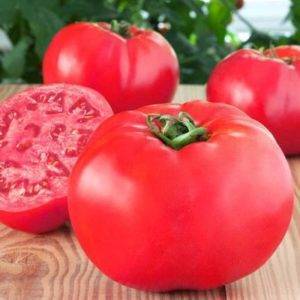 Томат волшебный каскад характеристика и описание сорта