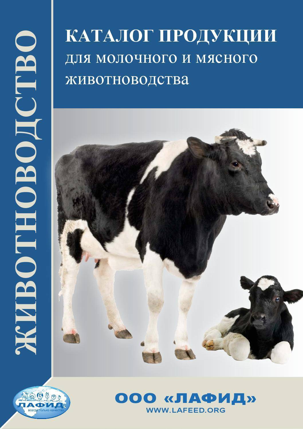 Чем лечить актиномикоз у коровы
