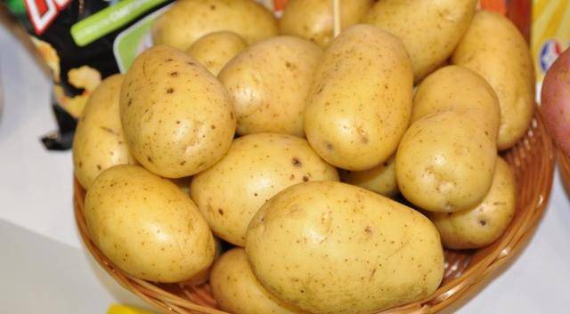 Обзор 10 самых урожайных сортов картофеля: описание и характеристики