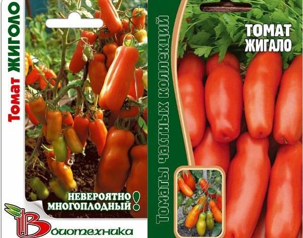 Томат жигало — описание сорта с фото