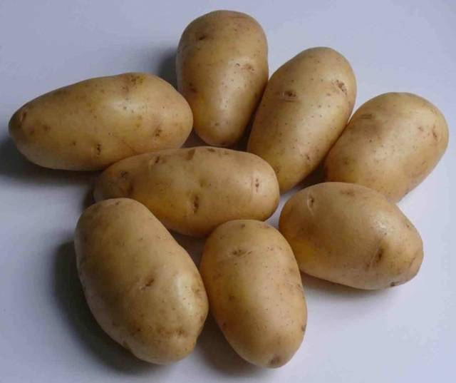 Пять лучших сортов картофеля для выращивания в сибири