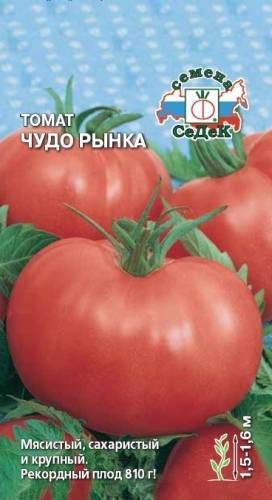 Томат "мясистый сахаристый" - томат с удивительным вкусом, описание сорта помидора и его высота